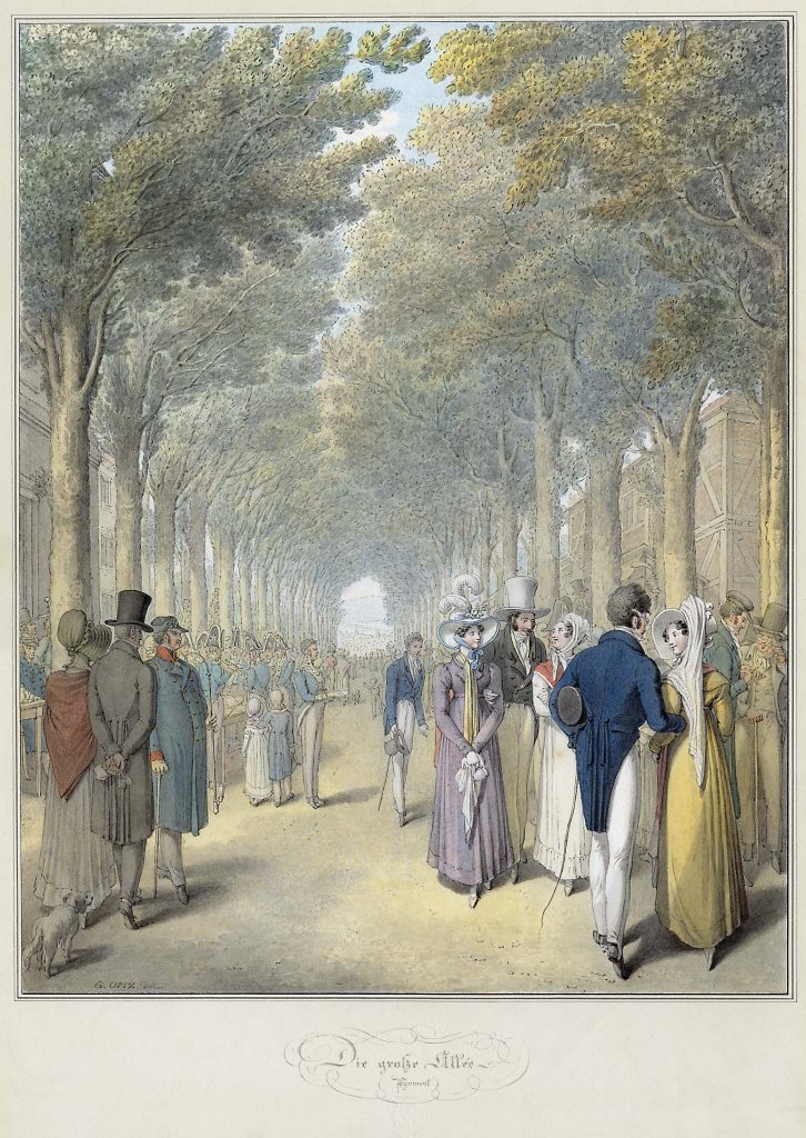 Opiz_Pyrmont_Allee